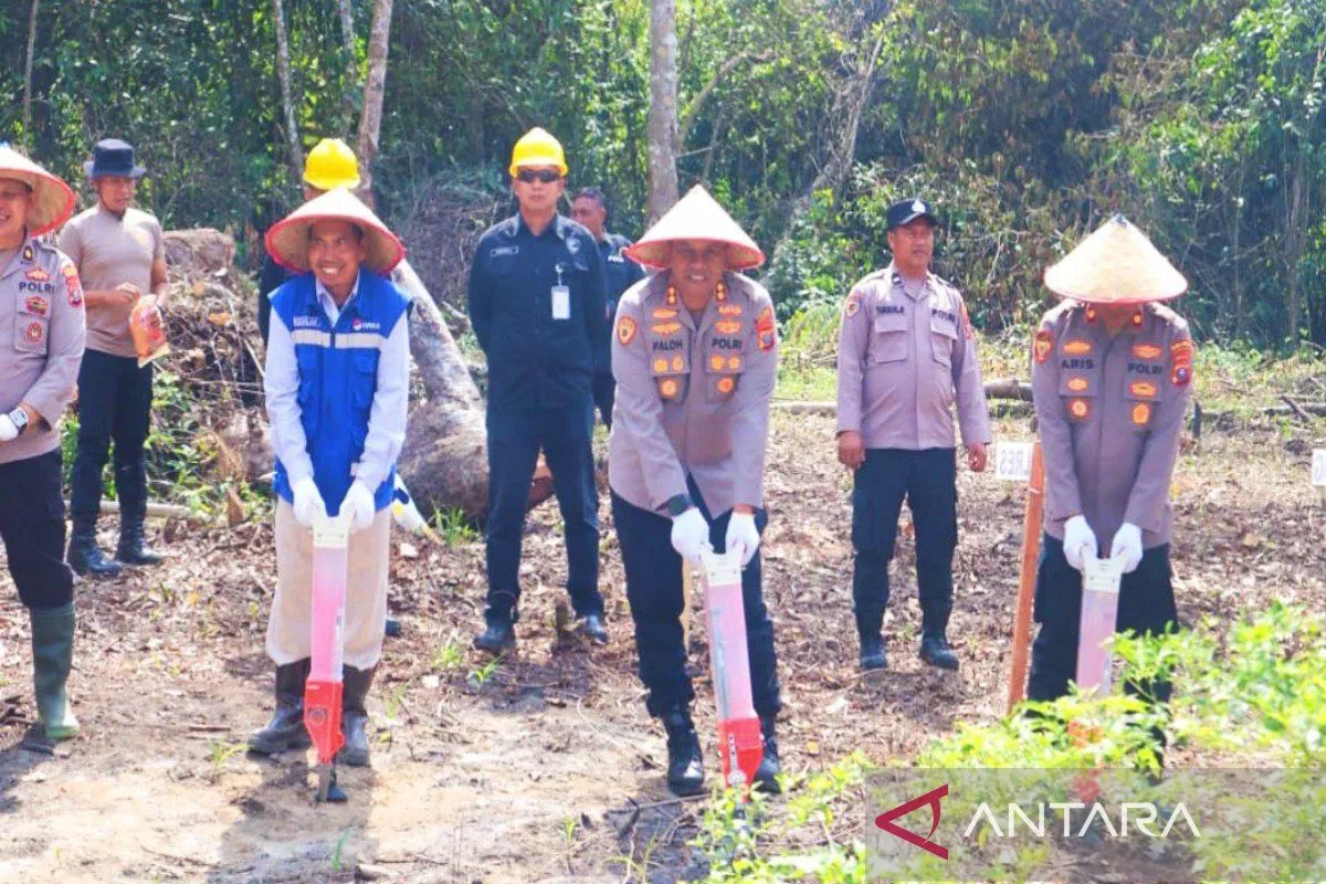 
					Polres Madina – PT SMGP sukseskan Asta Cita presiden melalui tanam Jagung kuartal III